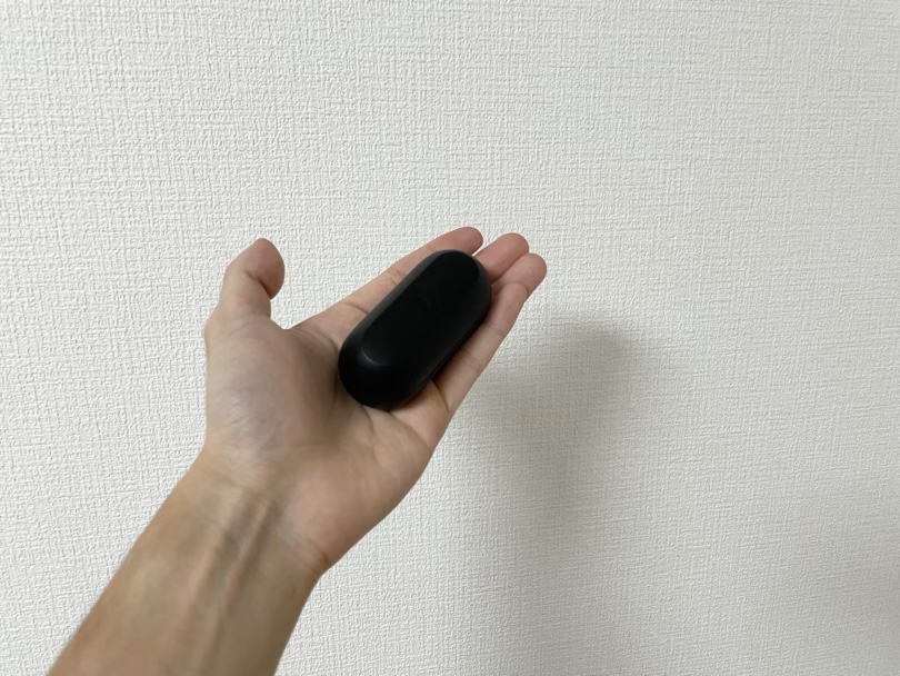 手のひらサイズ!